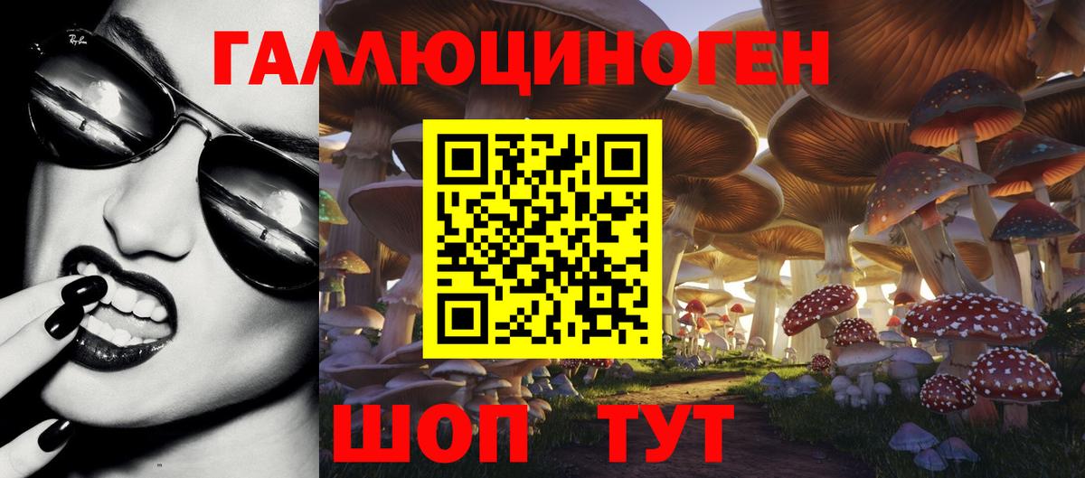 Псилоцибиновые грибы прущие грибы Туймазы