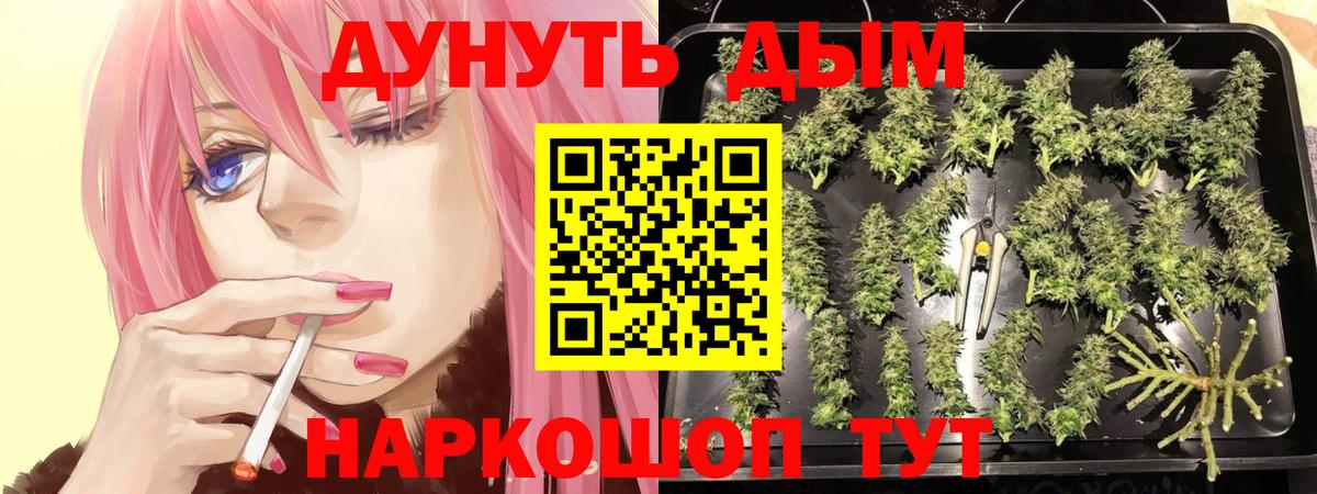 Бошки марихуана сатива Туймазы